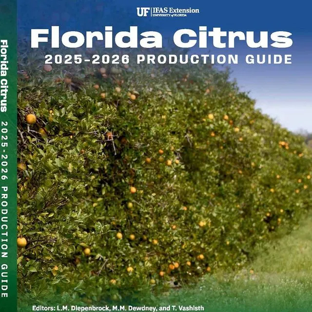thumbnail for publication: 2025–2026 Florida Citrus Production Guide: Irrigation Management of Citrus Trees